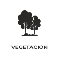 Vegetacion